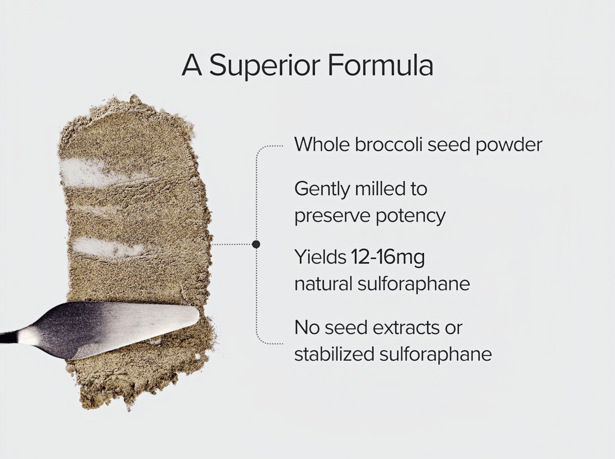 Broc Shot Original Sulforaphane Powder, Active Sulforaphane for Skin Health
