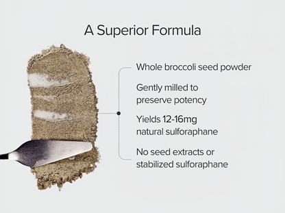 Broc Shot Original Sulforaphane Powder, Active Sulforaphane for Skin Health